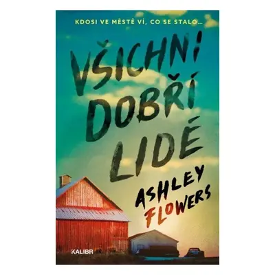 Všichni dobří lidé - Ashley Flowers