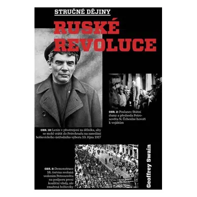 Stručné dějiny ruské revoluce - Geoffrey Swain