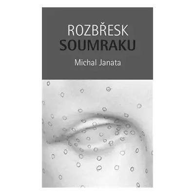 Rozbřesk soumraku - Kniha o vidění - Michal Janata