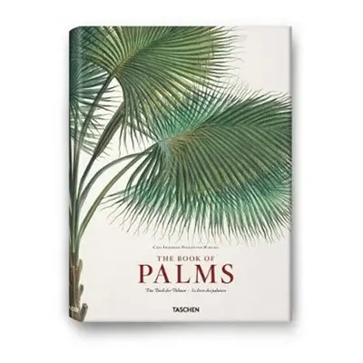 Martius: Book of Palms - Bridget Grenville-Cleave