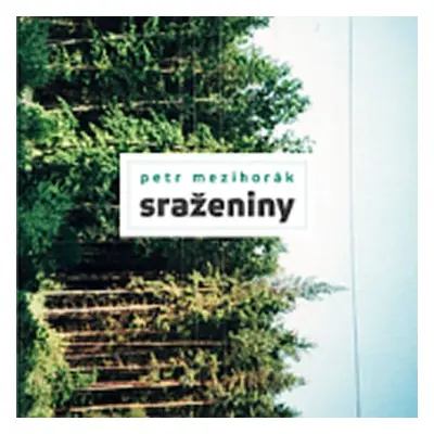 Sraženiny - Petr Mezihorák