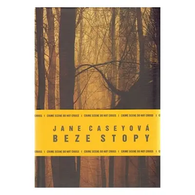 Beze stopy - Jane Casey