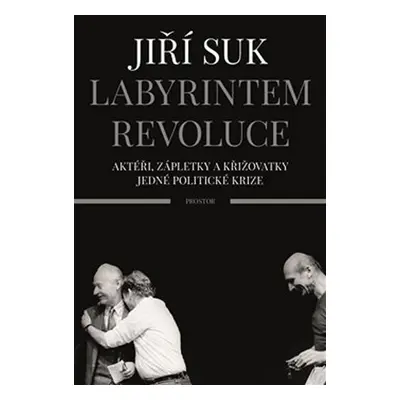 Labyrintem revoluce, 3. vydání - Jiří Suk