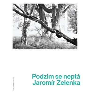 Podzim se neptá - Jaromír Zelenka