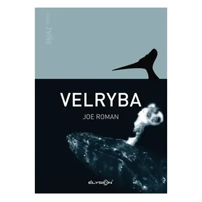 Velryba - Joe Roman