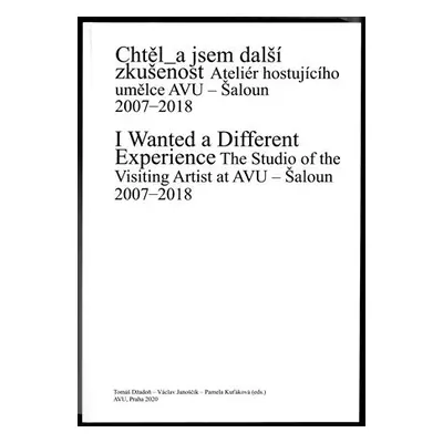 Chtěl_a jsem další zkušenost - Ateliér hostujícího umělce AVU. Šaloun 2007-2018 - Tomáš Džadoň