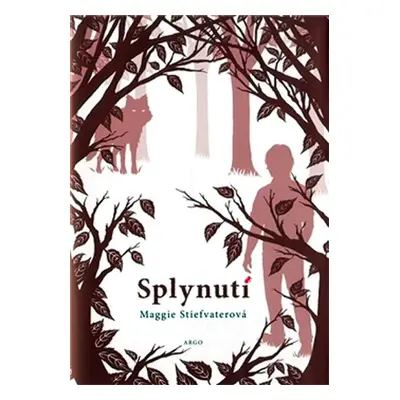 Splynutí - Maggie Stiefvater