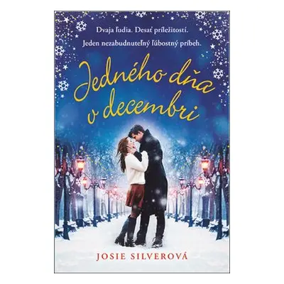 Jedného dňa v decembri - Josie Silverová