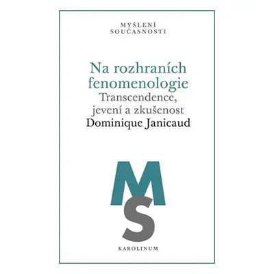 Na rozhraních fenomenologie - Transcendence, jevení a zkušenost - Dominique Janicaud