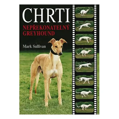 Chrti - Nepřekonatelný Greyhound - Mark Sulivan