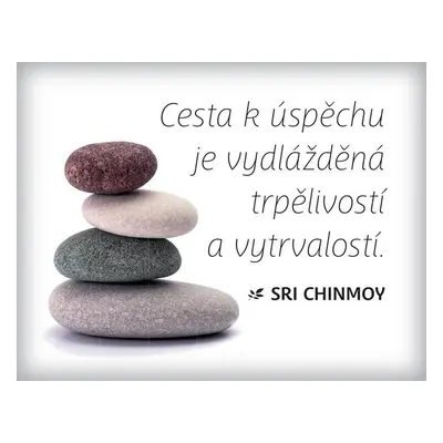 Magnet na lednici - Cesta k úspěchu je vydlážděná trpělivostí a vytrvalostí - Sri Chinmoy