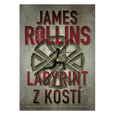 Labyrint z kostí - James Rollins