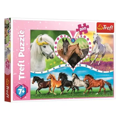 Trefl Puzzle Krásní koně / 200 dílků