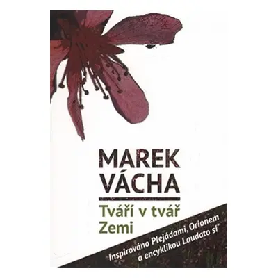 Tváří v tvář Zemi - Inspirováno Plejádami, Orionem a encyklikou Laudato si´ - Marek Vácha