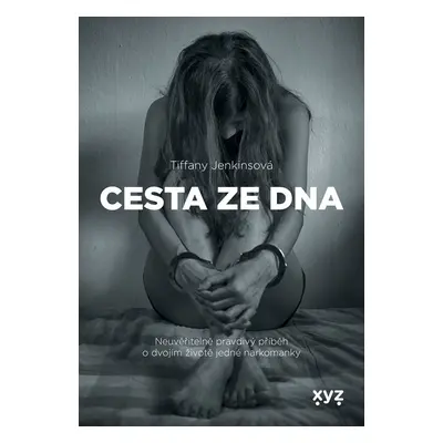 Cesta ze dna - Neuvěřitelně pravdivý příběh o dvojím životě jedné narkomanky - Tiffany Jenkinsov