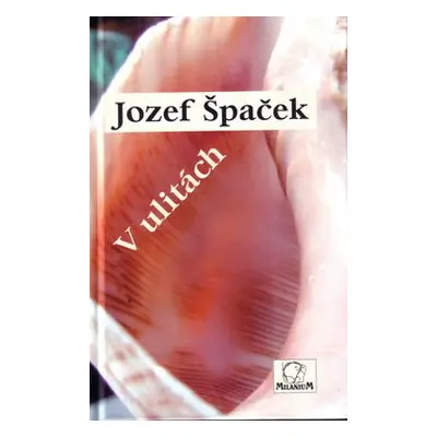 V ulitách - Jozef Špaček