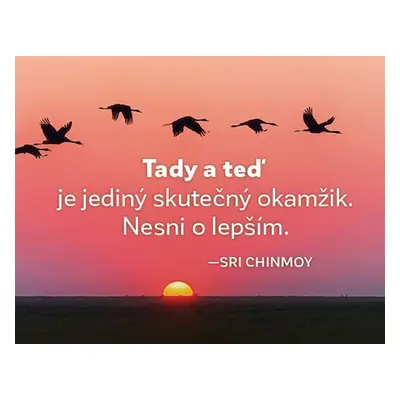 Magnet na lednici - Tady a teď je jediný skutečný okamžik. Nesmi o lepším. - Sri Chinmoy