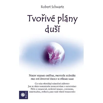 Tvořivé plány duší - Robert Schwartz