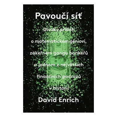 Pavoučí síť - David Enrich