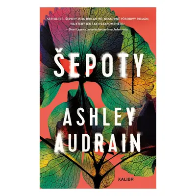 Šepoty - Ashley Audrain