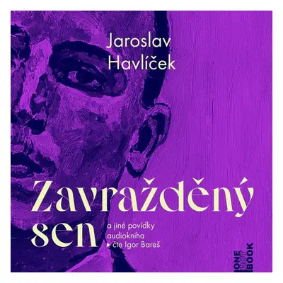 Zavražděný sen a jiné povídky - CDmp3 (Čte Igor Bareš) - Jaroslav Havlíček