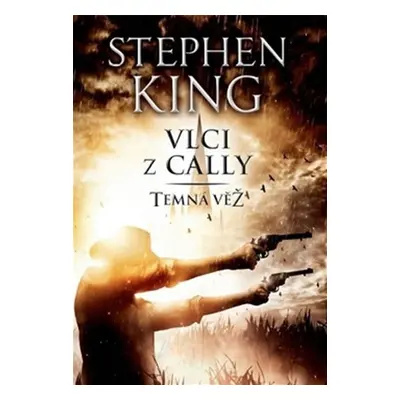 Temná věž V. - Vlci z Cally - Stephen King