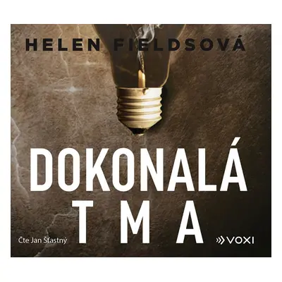 Dokonalá tma - CDmp3 (Čte Jan Šťastný) - Helen Fields