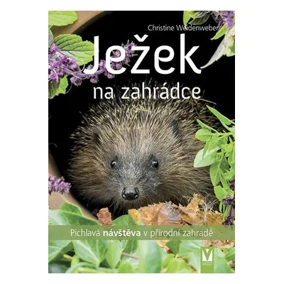 Ježek na zahrádce - Pichlavá návštěva v přírodní zahradě - Christine Weidenweber