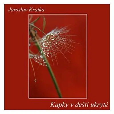 Kapky v dešti ukryté - Jaroslav Kratka