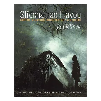 Střecha nad hlavou - Jan Jelínek