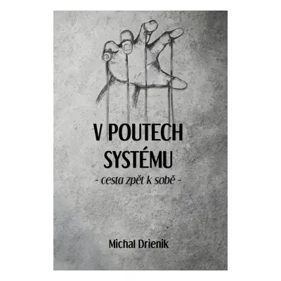 V poutech systému - Cesta zpět k sobě - Michal Drienik