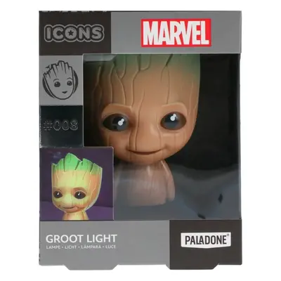 Icon Light Groot - EPEE