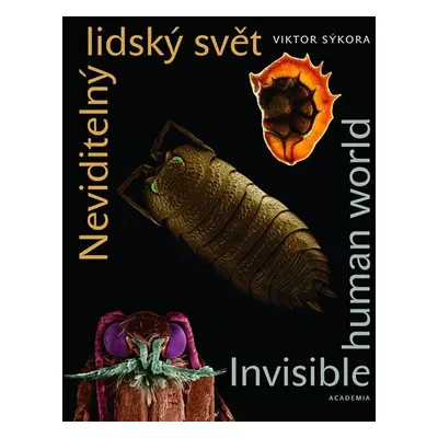 Neviditelný lidský svět - Viktor Sýkora