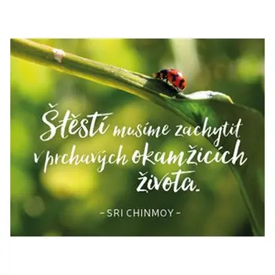 Štěstí musíme zachytit v prchavých okamžicích života - Sri Chinmoy