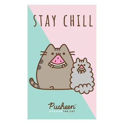 Dětský ručník Kočička Pusheen Stay Chill 30x50 cm