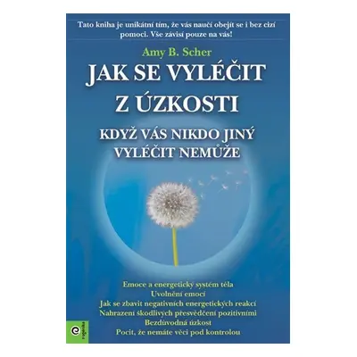 Jak se vyléčit z úzkosti, když vás nikdo jiný vyléčit nemůže - Amy B. Scher