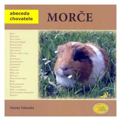 Morče - Abeceda chovatele - Nataša Velenská