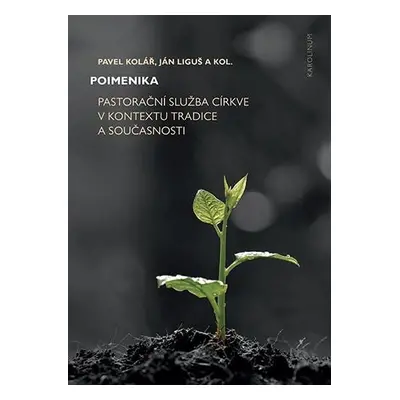 Poimenika - Pastorační služba církve v kontextu tradice a současnosti - Pavel Kolář