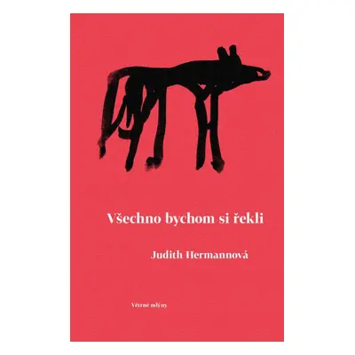 Všechno bychom si řekli - Judith Hermann