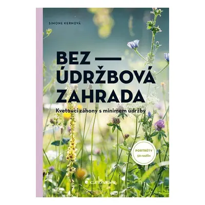 Bezúdržbová zahrada - Kvetoucí záhony s minimem údržby - Simone Kernová