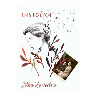 Lastočka - Jitka Závodná