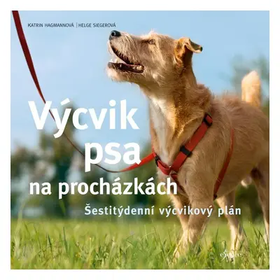 Výcvik psa na procházkách - Šestitýdenní tréninkový plán, 2. vydání - Katrin Hagmann