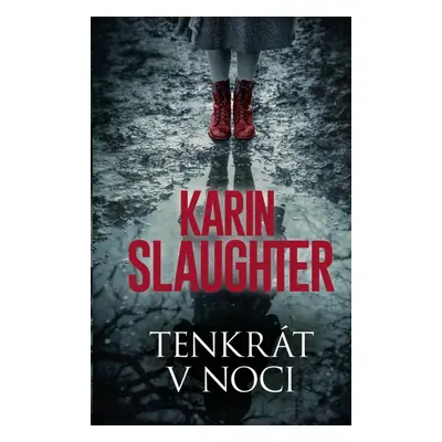 Tenkrát v noci - Karin Slaughter