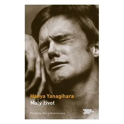 Malý život, 2. vydání - Hanya Yanagihara