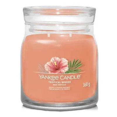 YANKEE CANDLE Tropical Breeze svíčka 368g / 2 knoty (Signature střední)