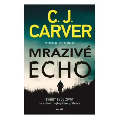 Mrazivé echo - C. J. Carver