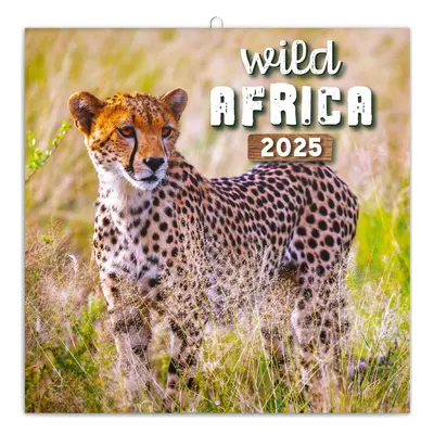 NOTIQUE Poznámkový kalendář Divoká Afrika 2025, 30 x 30 cm