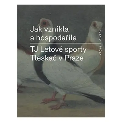 Jak vznikla a hospodařila TJ Letové sporty Tleskač v Praze - kolektiv autorů