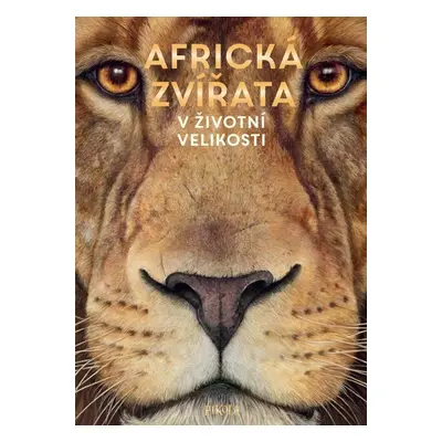 Africká zvířata: V životní velikosti - Holger Haag