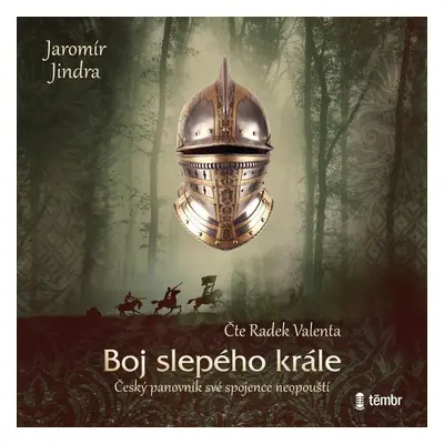 Boj slepého krále - audioknihovna - Jaromír Jindra